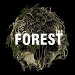 The Forest: Neuer Trailer